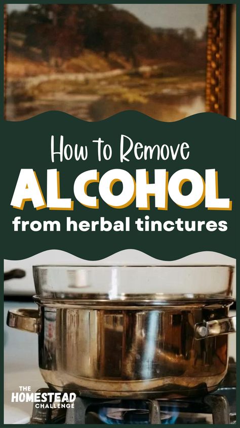 Pineapple Sage Tincture, Peach Pit Tincture, Mullen Tincture Recipe, Herbal Tincture Recipes Healing Herbs, Antibiotic Tincture, Ashwagandha Tincture, Herbal Tinctures Recipes, Extract Recipes, Medicinal Recipes