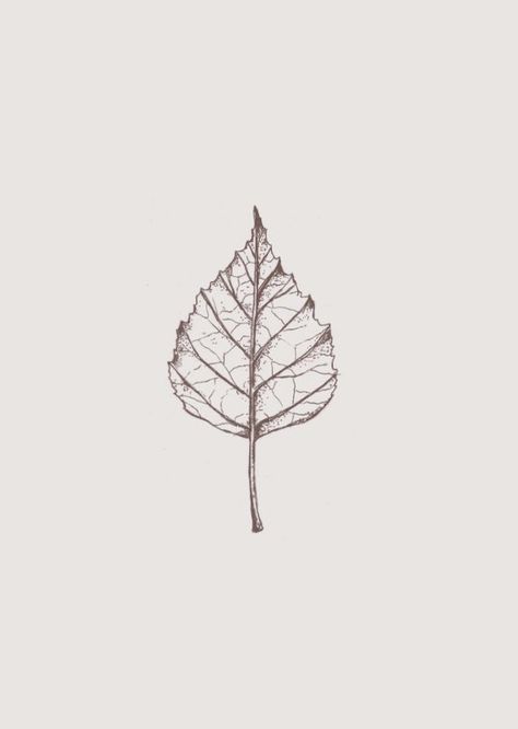 One Leaf Tattoo, White Oak Leaf Tattoo, Hazel Leaf Tattoo, Birch Tree Leaf Tattoo, Elm Tree Drawing, Ash Leaf Tattoo, Single Leaf Tattoo, Birch Leaf Tattoo, Beech Leaf Tattoo