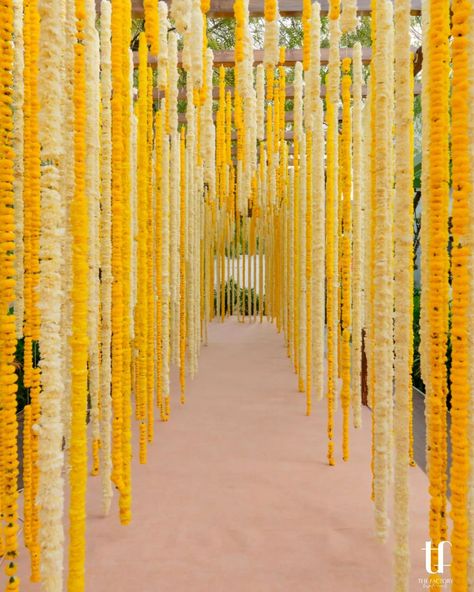 Marigold everywhere, perfect amalgamation of white and orange flowers #pellikodukudecoration #pellikodukudecorationathome #pellikodukudecorationbutta #pellikodukudecorideas #pellikodukufunctiondecorationathome #pellikodukubackgrounddecoration #pellikodukufunctiondecoration #pellikodukuceremonydecoration #pellikodukustagedecoration #pellikodukufunctiondecor #pellikodukudecorathome #pellikodukufunction Marigolds Wedding Decoration, Marigold Indian Wedding, Marigold Wedding Decor, Shaadi Theme, Marigold Mandap, Marigold Flower Decoration, Marigold Wedding Decoration, Marigold Decor, Holi Decor