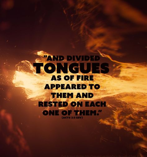 Supernatural gift. After Christ ascended, God sent the Holy Spirit. A violent wind blew through the house, and tongues of fire descended on the disciples. Immediately the men began to speak in other languages. Foreigners in the crowd heard their native dialect and marveled. Tongues Of Fire, Year Bible Reading Plan, Psalm 122, Supernatural Gifts, One Year Bible, Cinnamon Oatmeal, God Sent, Proverbs 16, Oatmeal Bars