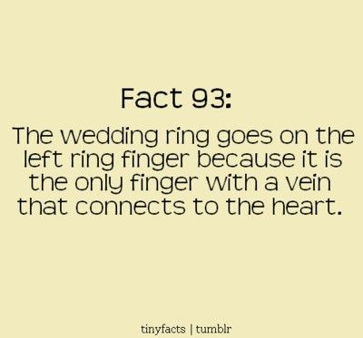 LOVE this fun fact :) Ring Placement Meaning, Ring Placement, It Goes On, Intp, Here Comes The Bride, Ring Finger, Love And Marriage, Great Quotes, Inspire Me