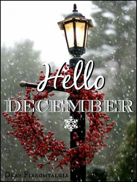 Hello December Images, April Wallpaper Aesthetic, Aesthetic Spring Wallpaper, Welcome April, Happy New Month Quotes, Wallpaper April, April Aesthetic, April Wallpaper, Neuer Monat