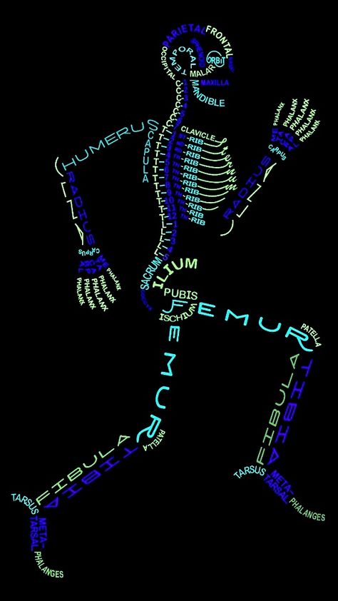 Human Physiology Art, Anatomy Screensaver, World Physiotherapy Day Posters, Radiology Student Wallpaper, Physiotherapy Wallpaper, Hospital Poster, Med Wallpaper, Human Skeletal System, Ram Sita Photo