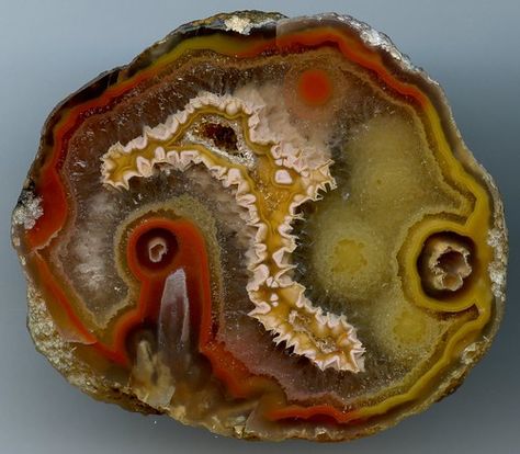 Coyamito Agate, Agate Rocks, Earth Gift, Rock Minerals, Beautiful Stones, Cool Rocks, Crystal Geode, Mineral Stone, Rocks And Gems