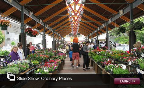 Market Architecture, Farmers Market Booth, From Farm To Table, Small Town Living, Whats In Season, Urban Farmer, Small Town America, Grow Tent, Outdoor Market