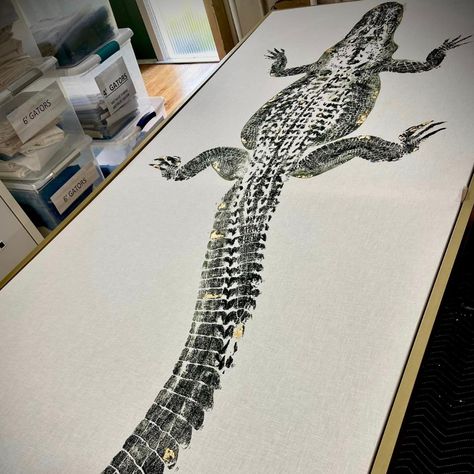 From the swamp to the printing table, to YOUR wall . My pieces have an incredible journey! Get in touch with me about commissions, and we'll be in touch with more information on how to bring your personalized print to life: www.lcharlevillestudios.com/commissions #GYOTAKUart #fishprinting #fishrubbing #alligatorprints #alligators #louisianaartist #louisianawildlife #louisianamade #art #supportlocal #localartist Alligator Painting, Alligator Art, Alligators Art, Louisiana Culture, Ancient Japanese Art, Office Inspo, Fish Art, Unique Animals, Personalized Prints