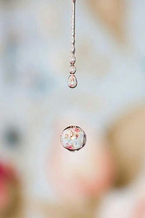 Drops Image Zen, Rauch Fotografie, Foto Macro, A Drop Of Water, Drop Of Water, Drops Of Water, Foto Tips, Water Photography, Foto Art