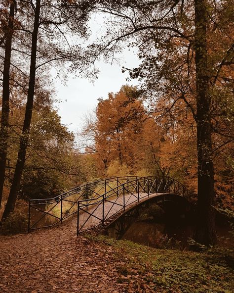 Romanticizing Autumn, Rainy Streets, Fall Core, Autumn Core, Rainy Street, Autumn Breeze, Fall Mood Board, Dark Autumn, Autumn Scenery