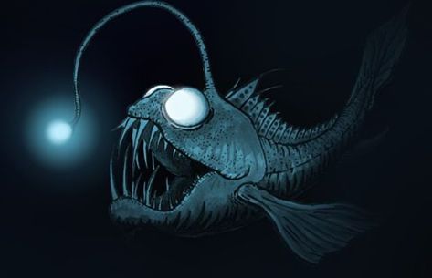 Angler Fish Light, Angler Fish Tattoo, Concept Artist Portfolio, Lamp Tattoo, Sea Creatures Art, Fish Lamp, Halloween Flyer, Deep Sea Creatures, Weird Fish