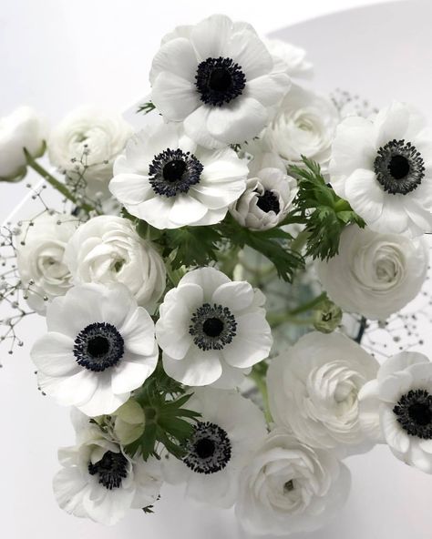 Flower Arrangements With Anemones, Wedding Transformation, Anemone Wedding, Anemone Bouquet, White Ranunculus, White Anemone, Flower Guide, December Wedding, Anemone Flower