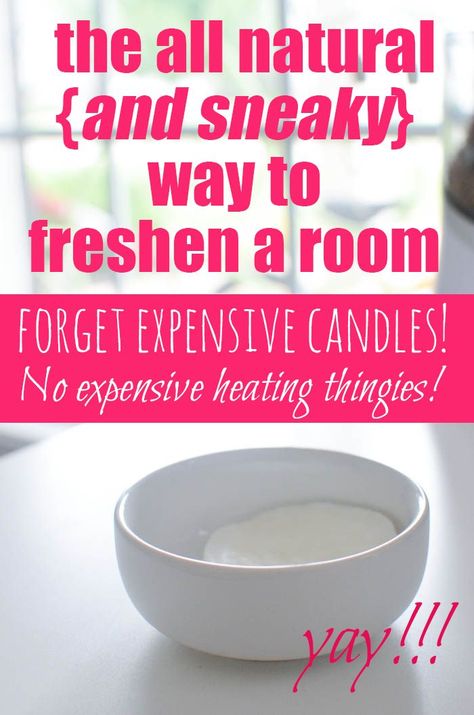 The all natural {and sneaky} way to freshen a room without buying candles or expensive scent thingies! Daily Cleaning Routine, Expensive Candles, Natural Room, Peppermint Extract, Room Freshener, Routine Tips, Homemade Cleaning, Astuces Diy, Deep Cleaning Tips