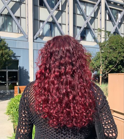 3b Red Curly Hair, Red Hair On Curly Hair, Cherry Red Hair Curly, Red Hair Curly, Cherry Red Curly Hair, Dark Red Curly Hair, Burgundy Curly Hair, Red Hair Streaks, Strawberry Red Hair