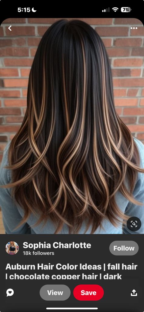 Black Hair With Brown Highlights, Hairstyle Highlights, Golden Hair Color, Chunky Blonde Highlights, Summer Hair Color Ideas, Highlights For Dark Brown Hair, Red Blonde, Red Blonde Hair, Hair Color Streaks