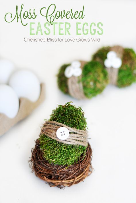 Moss Covered Easter Eggs Diy Osterschmuck, Spring Vases, Creative Easter Eggs, Moss Decor, Unique Easter, Easter Egg Designs, Easter Egg Crafts, Easter Inspiration, Easter Eggs Diy