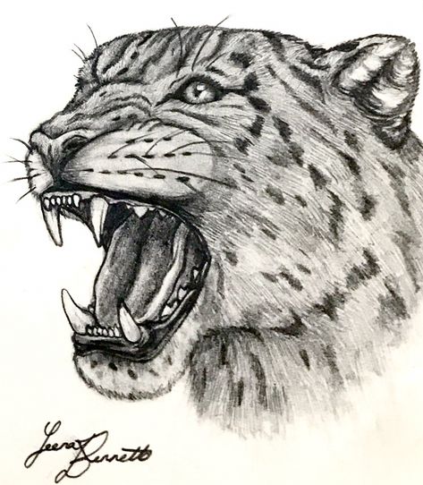 Leopard Drawing Realistic, Leopard Sketch Pencil Drawings, How To Draw A Leopard, Snow Leopard Sketch, Leopard Drawing Sketch, Leopard Face Drawing, Animal Sketches Realistic, Wild Cat Drawing, Jaguar Sketch