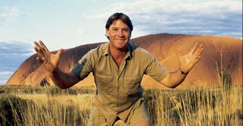 Steve Irwin Steve Irwin Day, Safari Aesthetic, List Of Tv Shows, Irwin Family, Robert Irwin, The Green Witch, Crocodile Hunter, Steve Irwin, Australian Wildlife