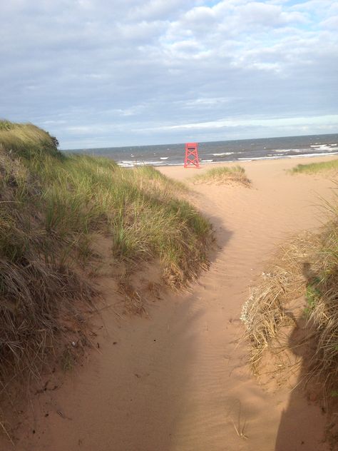 Panmure Island Beach, PEI East Coast Canada, Pei Canada, Beach Dunes, Canvas Inspiration, East Coast Beaches, Prince Edward Island Canada, Diverse Beauty, Beautiful Canada, Eastern Canada