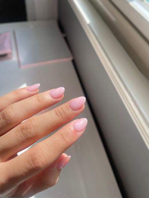 Short Gel Nails Light Colors, Cute Simple Light Pink Nails, Simple Acrylic Nails Pink And White, Oval Pointy Nails Short, Short Dip Nails Almond Shape, Solid Pink Acrylic Nails Almond, Acrylic Short Oval Nails, Short Clean Almond Nails, Short No Acrylic Nails