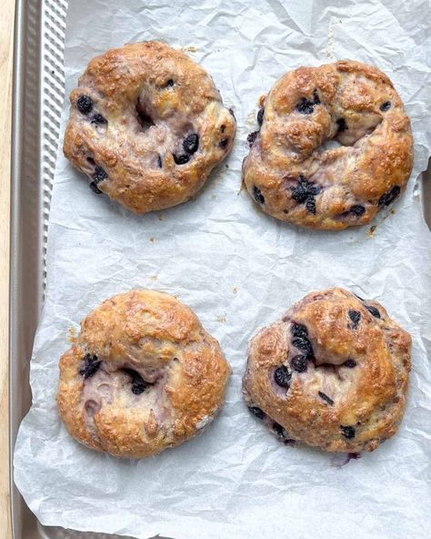 You can easily make these high-protein blueberry bagels with just three ingredients, and It is so much easier than you even think. Yogurt Bagels, Blueberry Bagels, Protein Blueberry, Stand Mixer Recipes, Blueberry Bagel, Low Carb Bagels, Easy Breakfast Options, Mixer Recipes, Cottage Cheese Pancakes