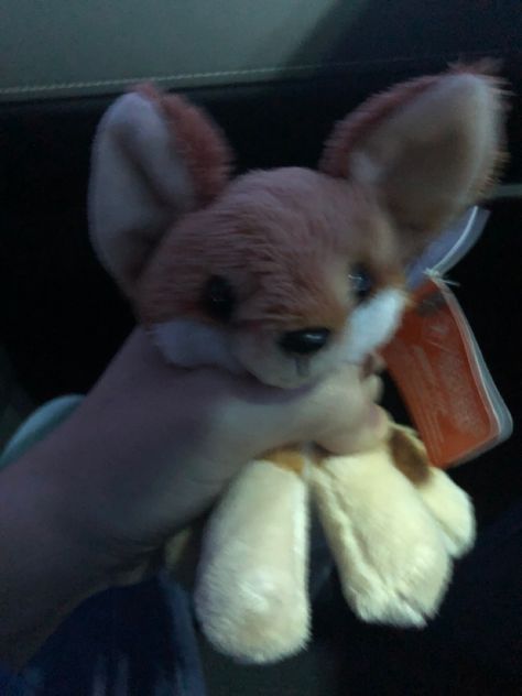 #silly #goofy #fennecfox #stuffedanimals #stuffedanimal #fox #plush #plushie Fox Plushie Aesthetic, The Stolen Heir Aesthetic, Stolen Heir Aesthetic, Heir Aesthetic, Goofy Plushies, The Stolen Heir, Stolen Heir, Fox Plushie, Fox Stuffed Animal