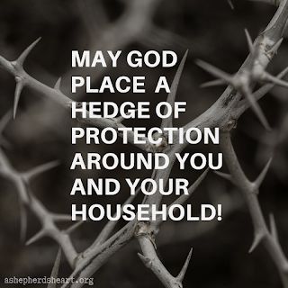 Gods Protection, Protection Quotes, The Book Of Job, Hedge Of Protection, Book Of Job, Prayer For Protection, Prayer For You, Prayer Scriptures, Bible Verses Quotes Inspirational