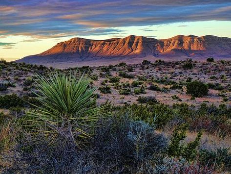 West Texas Landscape West Texas Landscape, Texas Scenery, Texas Landscape, Texas Sunset, Texas Photo, Texas Photography, Western Landscape, Texas Art, West Texas