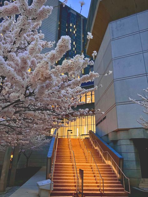 Uoft Aesthetic, Uoft Toronto Aesthetic, University Of Toronto Aesthetic, Uoft Toronto, Robarts Library, University Goals, Uni Motivation, Toronto Aesthetic, Toronto Library