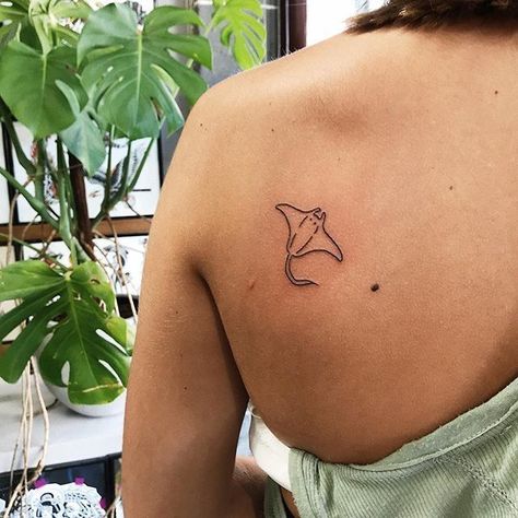 Dr Tattoo, Beachy Tattoos, Stingray Tattoo, Ray Tattoo, Shark Tattoos, Dainty Tattoos, Subtle Tattoos, Elegant Tattoos, Little Tattoos