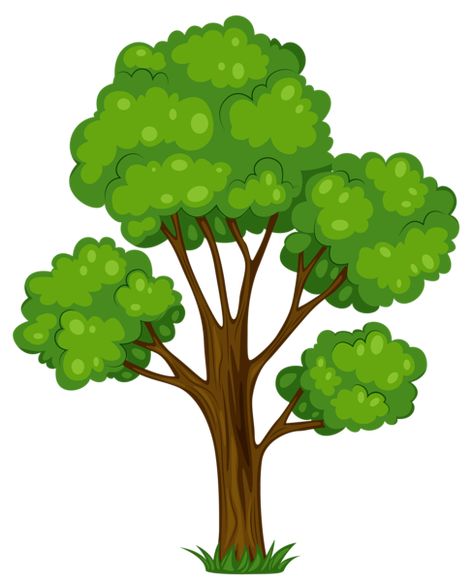 Cartoon Tree, Cartoon Trees, Picture Tree, Tree Clipart, Tree Images, Tall Trees, Tree Illustration, Big Tree, Tree Free