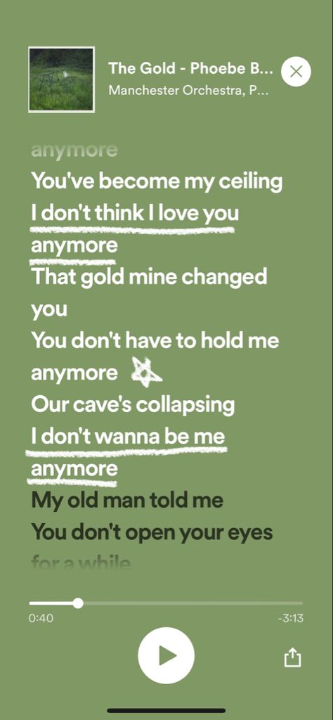 The Gold Phoebe Bridgers Lyrics, The Gold Phoebe Bridgers Poster, The Gold Phoebe Bridgers Aesthetic, Pheobe Bridgers The Gold, The Gold Phoebe Bridgers, Pheobe Bridgers Lyrics, Manchester Orchestra, Gold Quotes, Broken Love