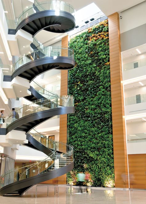 Drexel University Constantine N. Papadakis Integrated Sciences Building, built around a unique biowall of plants that serves a living air filter in Philadelphia, Pennsylvania by Diamond Schmitt Architects Indoor Green Wall, Drexel University, Banana Trees, Vertical Garden Design, Green Facade, Vertical Garden Wall, Vertical Gardening, Boarding House, Staircase Railings