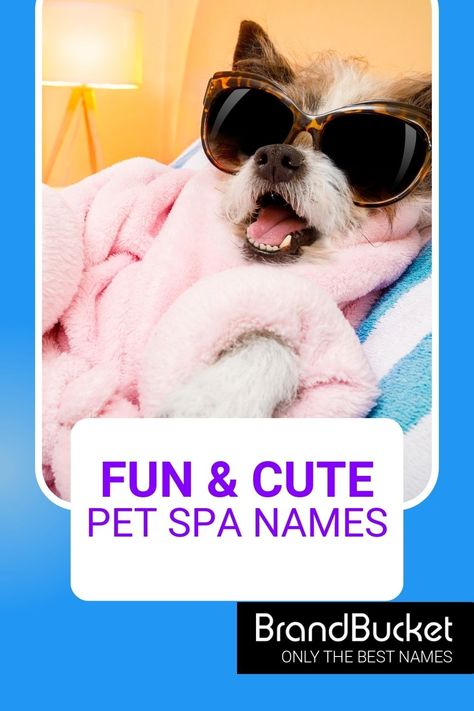 In search of amazing Pet Spa Names? You’ve come to the right place! Here you'll find 50+ catchy brand names for Pet Spas that will have a whole zoo of customers coming to your door! Check out the names now! Pet spa names, pet spa name ideas, pet grooming business names, pet boarding business names, pet grooming salon, pet grooming business, pet grooming van, pet grooming shop, dog grooming, dog grooming salon ideas, cat grooming salon, cat groomer, animal care business, animal caretaker Dog Business Names, Spa Names, Doggy Daycare Business, Cat Grooming Salon, Dog Grooming Salon Ideas, Pet Grooming Shop, Grooming Salon Ideas, Pet Grooming Business, Cat Groomer