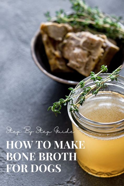 Absolutely! Here’s a breakdown of making nutritious bone broth for your dog, plus the benefits, how to serve, and safe storage tips: Canning Beef Broth, Canning Beef, Bone Broth For Dogs, Broth For Dogs, Make Bone Broth, Making Bone Broth, Meat Store, Homemade Bone Broth, Chicken For Dogs