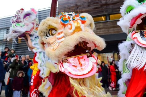 Chinese Lion Dance Head Diy, Chinese Dancing Lion, Lunar New Year Lion Dance, Disneyland Lunar New Year, Chinese Lion Dance, Chinese Dance, Lion Dance, Dragon Dance, Dj Music