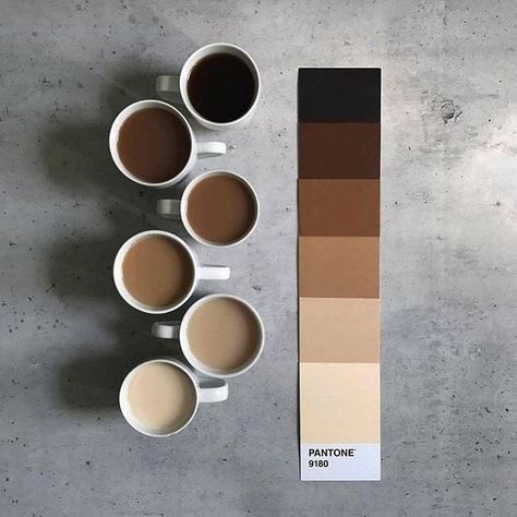 Coffee inspired color palette House Color Palettes, Cups Of Coffee, Color Schemes Colour Palettes, 카드 디자인, Coffee Photography, Aesthetic Coffee, Color Palette Design, Colour Board, Coffee Colour