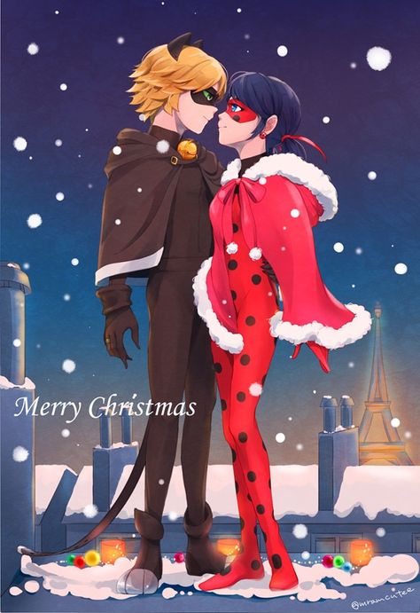 Cat Noir Christmas, Miraculous Ladybug Christmas, Ladybug Und Cat Noir, Miraculous Fanart, Lady Noir, Miraculous Ladybug Chat Noir, Miraculous Ladybug Cat Noir, Miraculous Ladybug Wallpaper, Tyler Posey