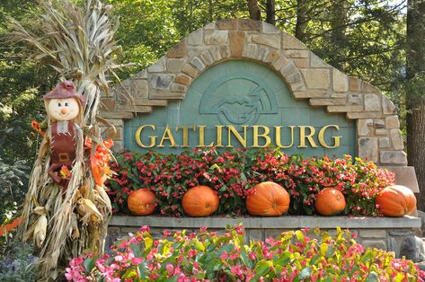 gatlinburg sign in the fall Gatlinburg Attractions, Autumn Themed Activities, Smoky Mountains Tennessee, Gatlinburg Cabin Rentals, Smoky Mountains Cabins, Gatlinburg Cabins, Themed Drinks, Gatlinburg Tennessee, Gatlinburg Tn