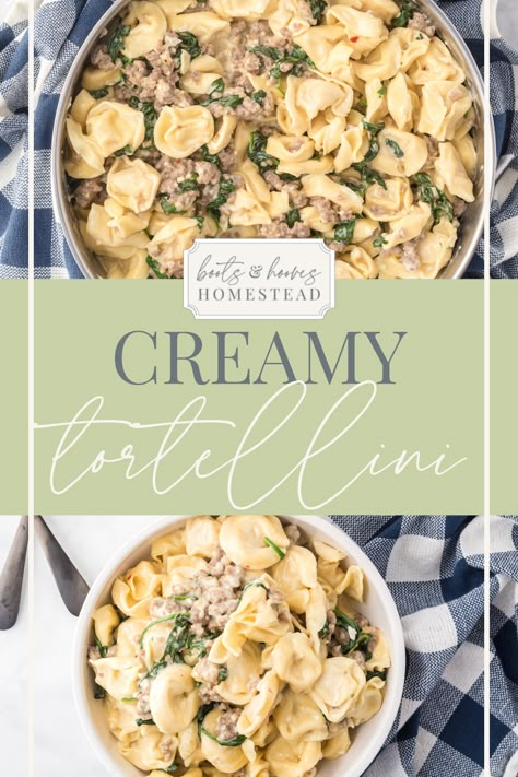 Creamy Tortellini with Italian Sausage is a hearty Italian pasta dinner that is rich in flavor and a snap to make in one pot. This recipe for creamy tortellini with Italian sausage is incredibly tasty & satisfying. It’s a great comfort food that takes minimal effort to make. In fact, this is a 30 minute meal! So, this yummy tortellini dinner recipe makes an excellent weeknight dish. Tortellini With Italian Sausage, Italian Pasta Dinner, Cheese Tortellini Recipes, Ground Sausage Recipes, Tortellini Recipe, Creamy Tortellini, Sausage Tortellini Soup, Spinach Tortellini, Sausage Tortellini