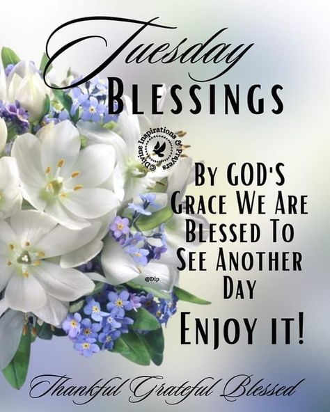 Tuesday Prayer, Christian Good Morning Quotes, Good Morning Prayer Quotes, Tuesday Quotes Good Morning, Tuesday Greetings, Tuesday Blessings, Morning Tuesday, Faith Quotes Inspirational, Happy Tuesday Quotes