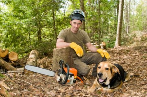 Tree stumps in your garden can be unsightly and are difficult to dispose of. You can grind them down, but this takes a stump grinder and a lot of elbow grease. You can burn them, but this will not be possible in most residential areas as you will need to leave the stump to smolder for several days. Stump Grinder, Lumberjack Style, Chainsaw Mill, Stump Removal, Root Structure, Tree Stumps, Tree Felling, Concrete Diy Projects, Fake Trees