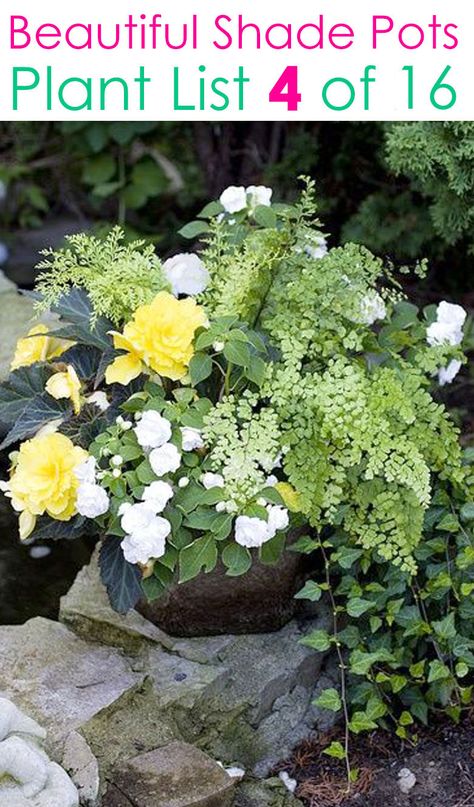 Shade Garden Plants Pots, Shade Pots Ideas, Flower Beds With Pots, Shade Porch Planter Ideas, Shade Planters Ideas Container Plants, Perennial Container Ideas, Fern Container Ideas, Shade Loving Plants For Pots, Shade Container Plants Porches