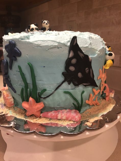 Stingray Birthday Cake, Stingray Cake, Whale Shark Cake, Sea Creature Cake, Shark Cake Ideas, Shark Cakes, Shark Birthday Cakes, 14th Birthday Cakes, Ocean Cakes