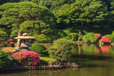 Japanese National Parks, Shinjuku Gyoen National Garden, Formal English, Shinjuku Gyoen, Tokyo Museum, English Landscape, Japan 2023, Famous Gardens, Tokyo Travel