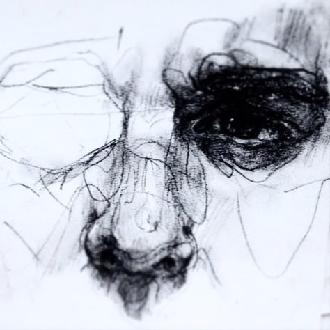 Charcoal study. #art #drawing #sketch #illustration Elly Smallwood, Charcoal Study, Study Art, Charcoal Drawings, Broken Pieces, Drawing Faces, White Drawing, Charcoal Art, Sketch Illustration