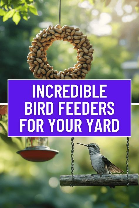 15 Genius Bird Feeder DIY Ideas for Your Yard Diy Humming Bird Feeders, Bird Feeding Station Ideas Diy, Suet Feeder Diy, Bird Feeders Diy, Bird Feeder Diy, Winter Bird Feeders, Rustic Bird Feeders, Large Bird Feeders, Unique Bird Feeders