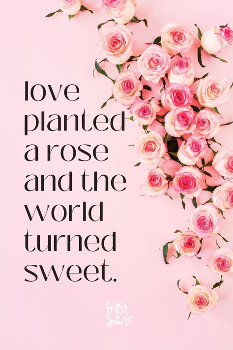 Rose Captions For Instagram Short, Roses From Boyfriend, Rose Sayings, Rose Captions For Instagram, Photos Of Roses, Rose Captions, Rose Love Quotes, Captions For Instagram Photos, Roses Are Red Poems