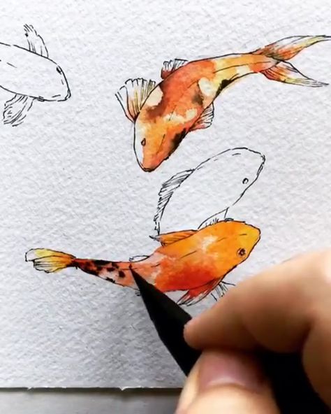 #Japanese #japonais #art #graphisme#inspiration #japonaise #inspirational #design #Koi #koifish #japanesekoi Koi Art, Watercolor Fish, Water Gardens, 수채화 그림, Arte Sketchbook, Watercolor Inspiration, Fish Art, Watercolor Techniques, Koi Fish