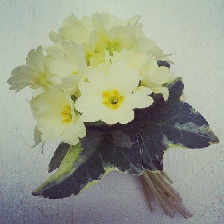 Primrose Bouquet, Spring Wedding Cake, Paint Flowers, Evening Primrose, African Violets, Water Lilies, Lily Of The Valley, Pansies, Daffodils