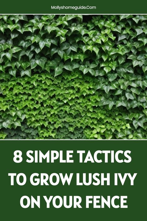 Learn how to grow ivy on a fence and enhance the beauty of your outdoor space! Ivy is a versatile plant that can climb and cover structures, adding charm to your garden. Discover the step-by-step guide on how to propagate and care for ivy plants so they thrive on fences. Bring a touch of nature to your backyard with lush greenery and create a picturesque setting. With these simple tips and techniques, you can easily transform your fence into a stunning feature that will impress all visitors. How To Propagate English Ivy, French Barndominium, Ivy On Fence, Types Of Ivy, Boston Ivy, Green Fence, Virginia Creeper, Ivy Vine, English Ivy