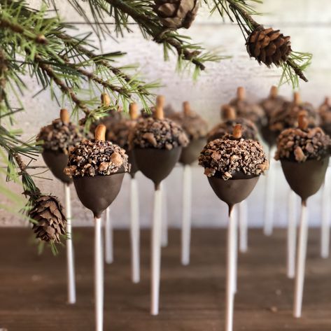 Acorn Cake Pops, Acorn Cake, Baby Shower Cakepops, Gateau Baby Shower Garcon, Enchanted Forest Baby Shower, Bos Baby, Forest Baby Showers, Woodland Cake, Adventure Baby Shower